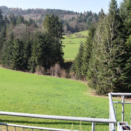Ferienwohnung Im Dettenbachtal Waldkirch Buitenkant foto