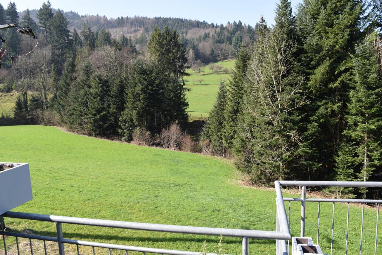 Ferienwohnung Im Dettenbachtal Waldkirch Buitenkant foto