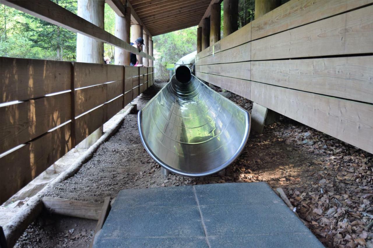 Ferienwohnung Im Dettenbachtal Waldkirch Buitenkant foto