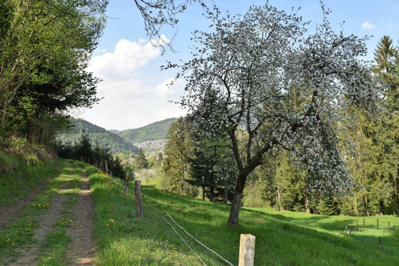 Ferienwohnung Im Dettenbachtal Waldkirch Buitenkant foto