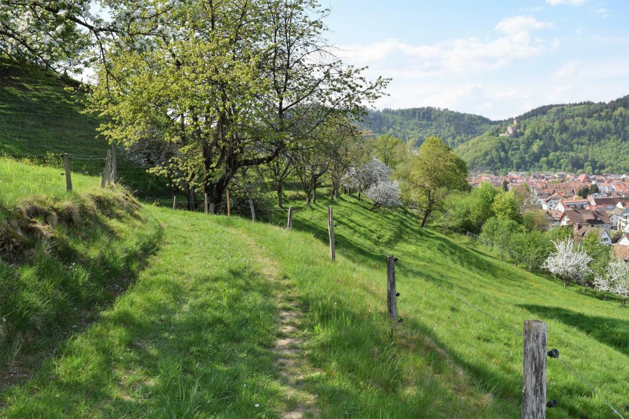Ferienwohnung Im Dettenbachtal Waldkirch Buitenkant foto